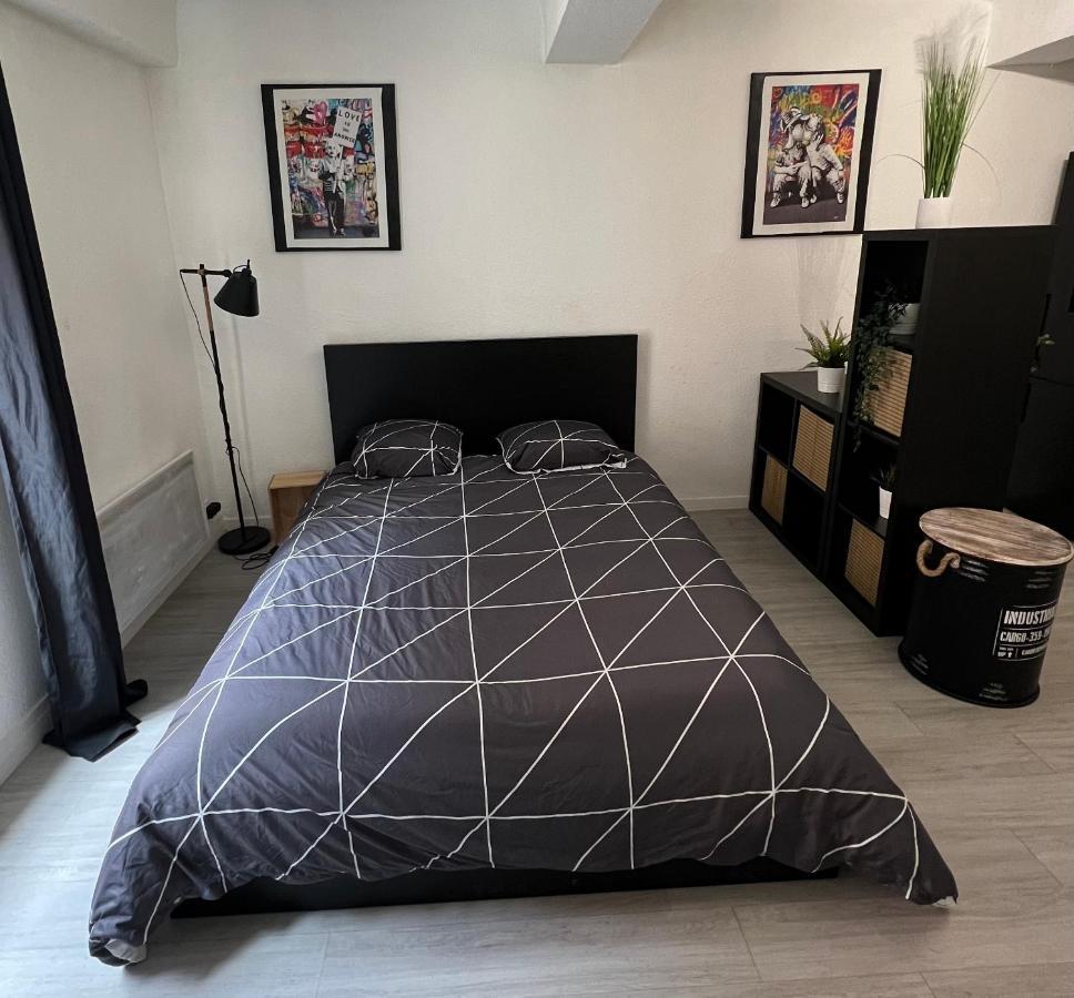 Mâcon Studio Cosy Au Coeur Du Centre Ville מראה חיצוני תמונה